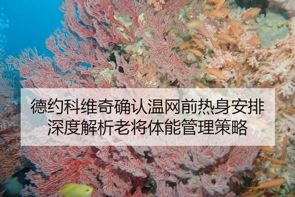德约科维奇确认温网前热身安排 深度解析老将体能管理策略